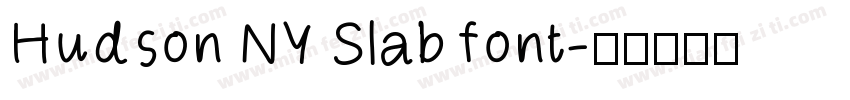 Hudson NY Slab font字体转换